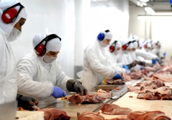 Liminar obriga frigorífico em MT a garantir segurança de funcionários